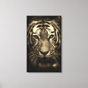 Toile Tigre en Sepia Tones