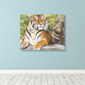 Toile Tigre et Bouddha (Insitu (Plancher de Bois))