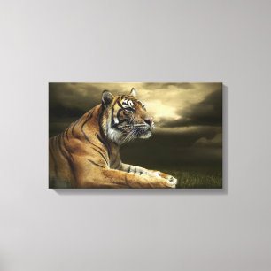 Toile Tigre regardant et se reposant sous le ciel