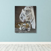 Toile Tigres blancs et Brown au repos (Insitu (Plancher de Bois))