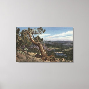 Toile Timberline sur la crête gigantesque