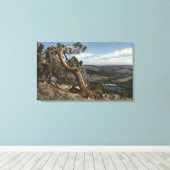 Toile Timberline sur Mammoth Crest (Insitu (Plancher de Bois))