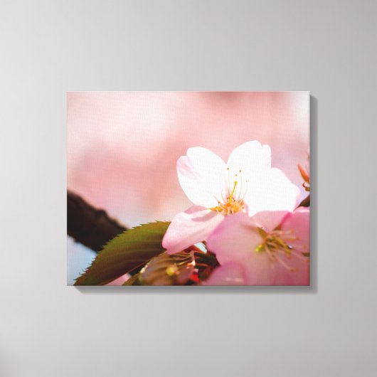 Toile Timide, la fleur de sakura se protège derrière ses (Recto)