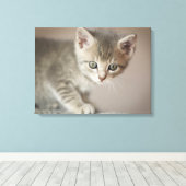 Toile Tiny (Insitu (Plancher de Bois))