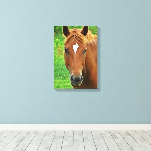 Toile Tir à tête écossaise (Insitu (Plancher de Bois))