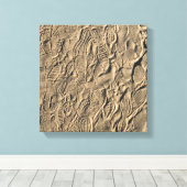 Toile Tirages de chaussures dans le sable (Insitu (Plancher de Bois))