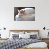 Toile Tired Beige et White Kitten (Insitu(Chambre))