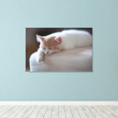 Toile Tired Beige et White Kitten (Insitu (Plancher de Bois))