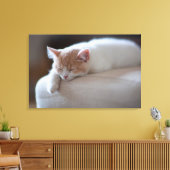 Toile Tired Beige et White Kitten (Insitu(Salon))