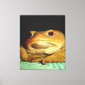 Toile Toad Avec La Peinture De Disposition Philosophique (Recto)