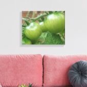 Toile Toiles de tomates vertes (Insitu(Salon))