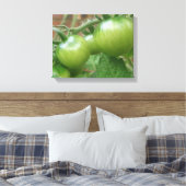 Toile Toiles de tomates vertes (Insitu(Chambre))
