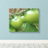 Toile Toiles de tomates vertes (Insitu (Plancher de Bois))