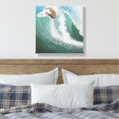 Toile toit, paradis du surfer (Insitu(Chambre))