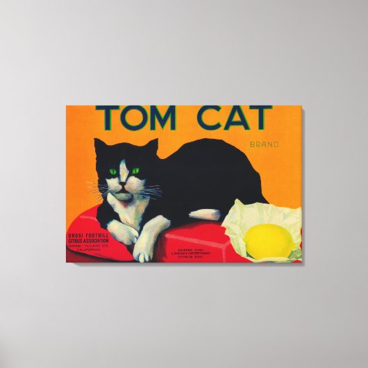 Toile Tom Cat Lemon LabelOrosi, CA (Recto)