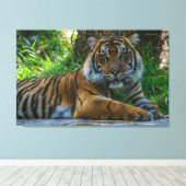 Toile Tony (Insitu (Plancher de Bois))