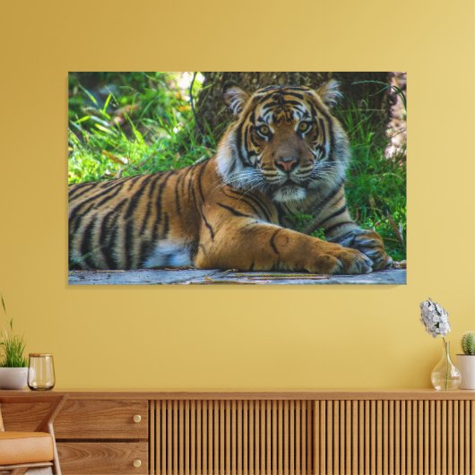 Toile Tony (Insitu(Salon))