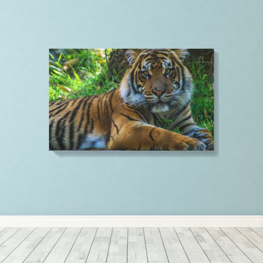 Toile Tony (Insitu (Plancher de Bois))