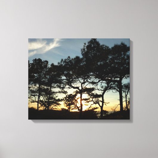 Toile Torrey Pine Sunset II Californie Paysage (Recto)