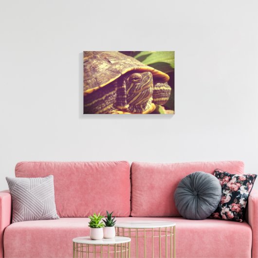 Toile Tortue (Insitu(Salon))