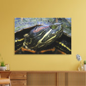 Toile Tortue à oreilles rouges, Trachemys scripta elegan (Insitu(Salon))