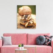 Toile Tortue bébé équitation de l'escargot (Insitu(Salon))