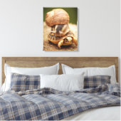 Toile Tortue bébé équitation de l'escargot (Insitu(Chambre))