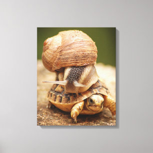 Toile Tortue bébé équitation de l'escargot