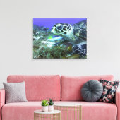 Toile Tortue cozumel (Insitu(Salon))
