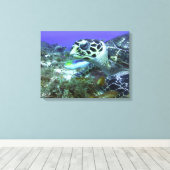 Toile Tortue cozumel (Insitu (Plancher de Bois))