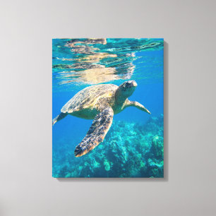 Toile Tortue de mer