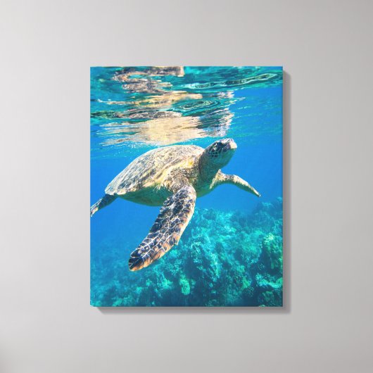 Toile Tortue de mer (Recto)