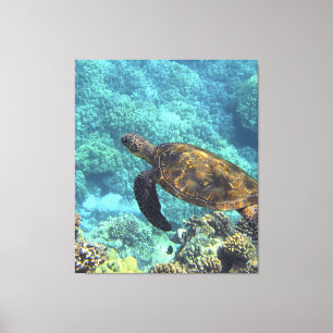 Toile tortue de mer