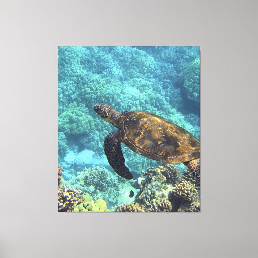 Toile tortue de mer (Recto)