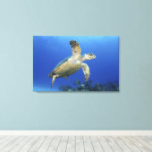 Toile Tortue de mer Hawksbill (Insitu (Plancher de Bois))