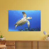 Toile Tortue de mer Hawksbill (Insitu(Salon))