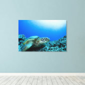 Toile Tortue de mer reposant sous l'eau (Insitu (Plancher de Bois))