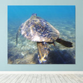 Toile Tortue géante (Insitu (Plancher de Bois))