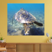 Toile Tortue géante (Insitu(Salon))