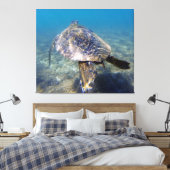 Toile Tortue géante (Insitu(Chambre))