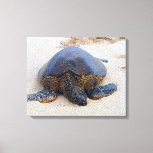 Toile Tortue hawaïenne sur la plage (Recto)