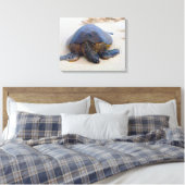Toile Tortue hawaïenne sur la plage (Insitu(Chambre))