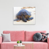 Toile Tortue hawaïenne sur la plage (Insitu(Salon))