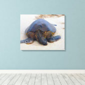 Toile Tortue hawaïenne sur la plage (Insitu (Plancher de Bois))