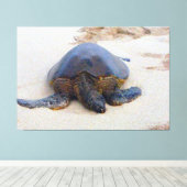 Toile Tortue hawaïenne sur la plage (Insitu (Plancher de Bois))