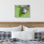 Toile Tortue peinte bébé sur nénuphars (Insitu(Chambre))