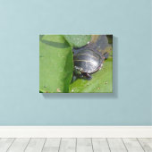 Toile Tortue peinte bébé sur nénuphars (Insitu (Plancher de Bois))