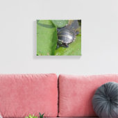 Toile Tortue peinte bébé sur nénuphars (Insitu(Salon))