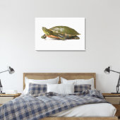 Toile Tortue peinte occidentale (Chrysemys picta bellii) (Insitu(Chambre))