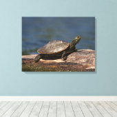 Toile Tortue peinte sur un bûcher (Insitu (Plancher de Bois))